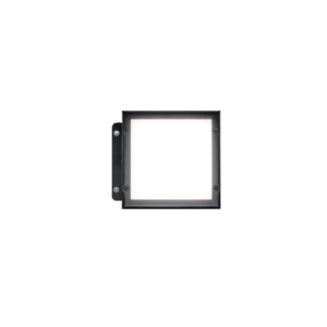 Back Lights